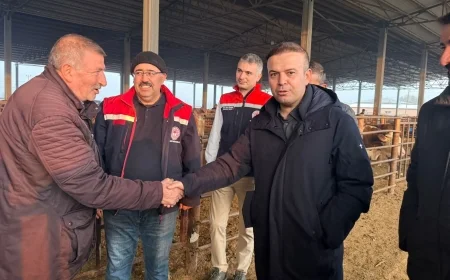 Bugün Müdür Ahmet Tingiş: Iğdır Canlı Hayvan Pazarı’nda Denetim Yapıldı