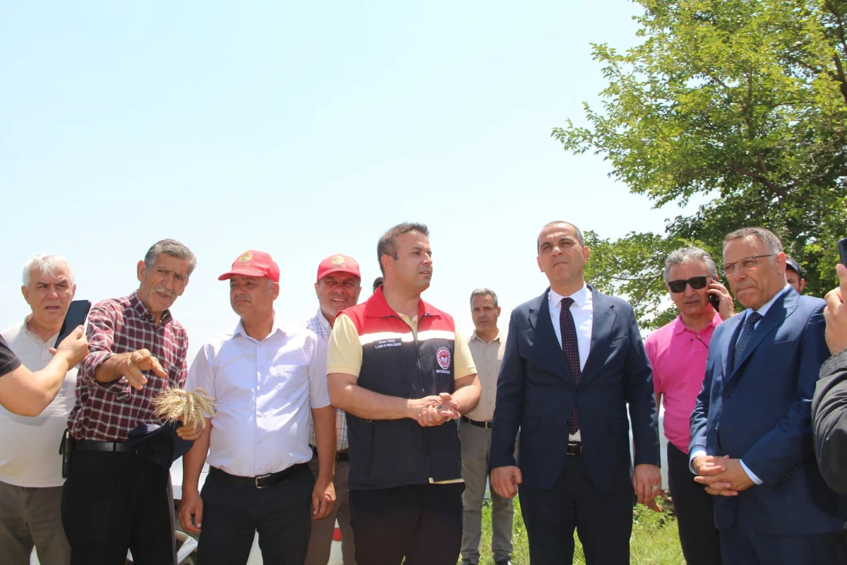 Iğdır’da Buğday Hasat Günü Gerçekleştirildi