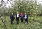IĞDIR’DA DOLU AFETİ TARIM ARAZİLERİNDE ZARARA YOL AÇTI