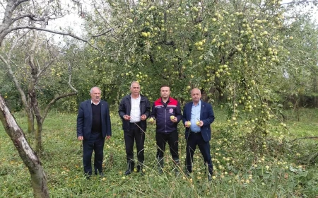 IĞDIR’DA DOLU AFETİ TARIM ARAZİLERİNDE ZARARA YOL AÇTI
